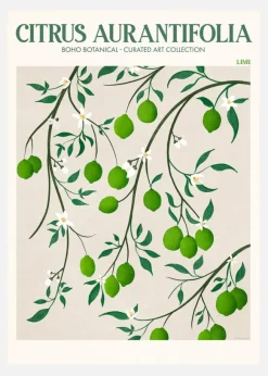 Boho Citrus Aurantifolia Canvastavla (30x40 cm)