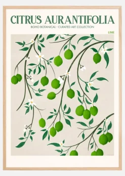 Boho Citrus Aurantifolia Poster (21x29.7 cm (A4))