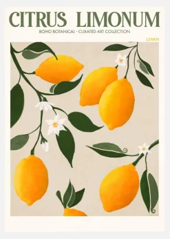 Boho Citrus Limonum Canvastavla (30x40 cm)