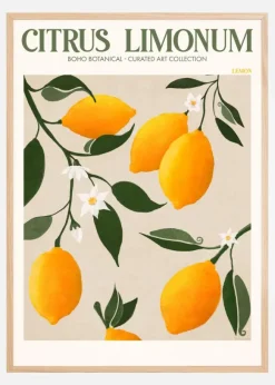 Boho Citrus Limonum Poster (21x29.7 cm (A4))