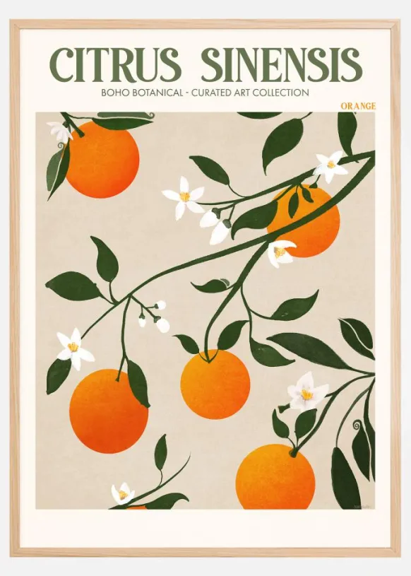 Boho Citrus Sinensis Poster (21x29.7 cm (A4))