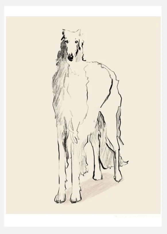 Borzoi Russian Wolfhound Pandc Canvastavla (30x40 cm)