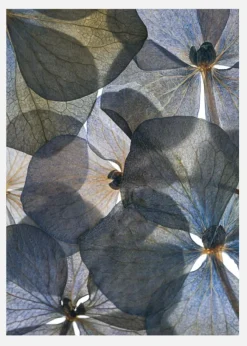 Botanical II Canvastavla (30x40 cm)