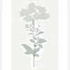 Botanic Canvastavla (30x40 cm)