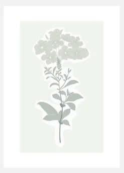 Botanic Canvastavla (30x40 cm)