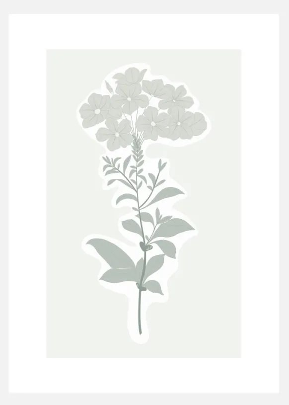 Botanic Canvastavla (30x40 cm)