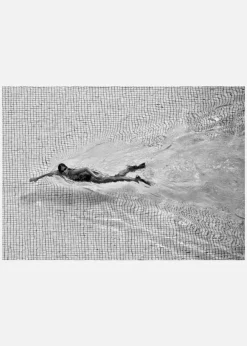 Breaking The Net Canvastavla (30x40 cm)