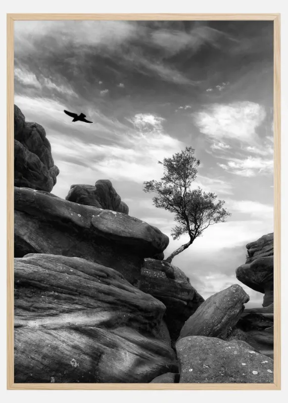Brimham Poster (21x29.7 cm (A4))
