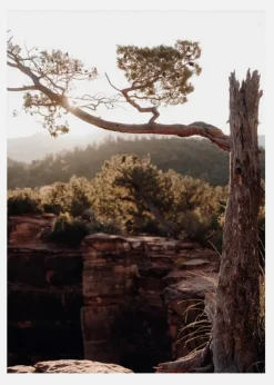 Broken Tree Canvastavla (30x40 cm)