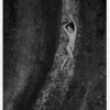 Bw Female Canvastavla (30x40 cm)