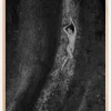 BW FEMALE Poster (21x29.7 cm (A4))