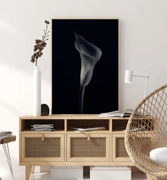 Calla Lily Poster (21x29.7 cm (A4))