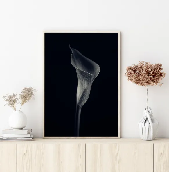 Calla Lily Poster (21x29.7 cm (A4))
