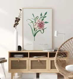 Carnation Poster (21x29.7 cm (A4))