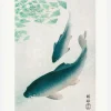 Carp Or Koi Canvastavla (30x40 cm)
