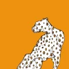 Cheetah Poster (21x29.7 cm (A4))