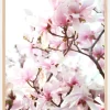 Cherry Trees Poster (21x29.7 cm (A4))