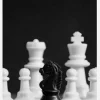 Chess Canvastavla (30x40 cm)