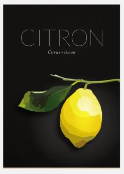 Citron Canvastavla (30x40 cm)