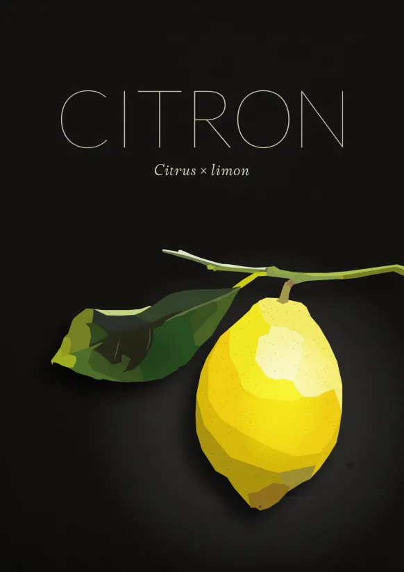 Citron Poster (21x29.7 cm (A4))