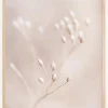 Close up Straw Poster (21x29.7 cm (A4))