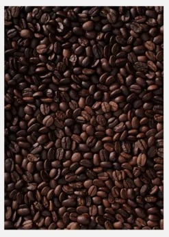 Coffeebeans Canvastavla (30x40 cm)