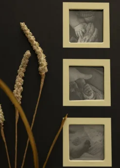 Collection Svart - 600 Bilder i 10x15 cm