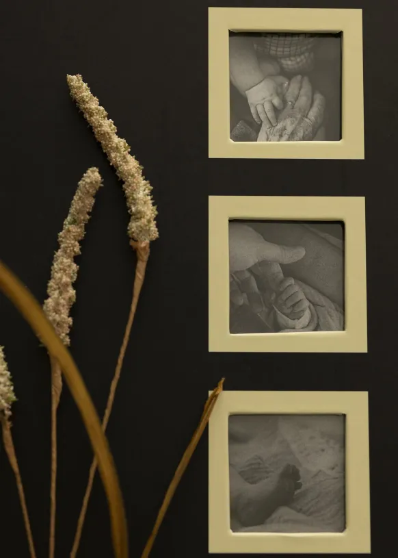 Collection Svart - 600 Bilder i 10x15 cm