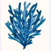 Coral Canvastavla (30x40 cm)