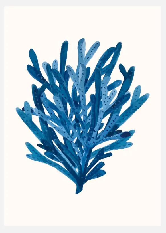 Coral Canvastavla (30x40 cm)