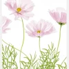 Cosmos Cupcake Canvastavla (30x40 cm)