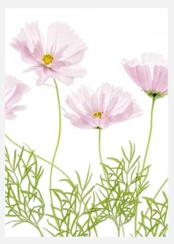 Cosmos Cupcake Canvastavla (30x40 cm)