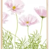 Cosmos Cupcake Poster (21x29.7 cm (A4))