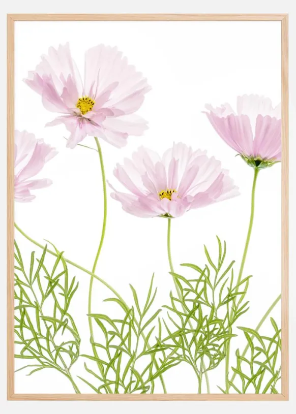 Cosmos Cupcake Poster (21x29.7 cm (A4))