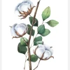 Cotton Flower Canvastavla (30x40 cm)