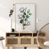 Cotton Flower Poster (21x29.7 cm (A4))