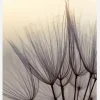 Dandelion Children Canvastavla (30x40 cm)