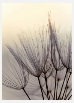 Dandelion Children Canvastavla (30x40 cm)