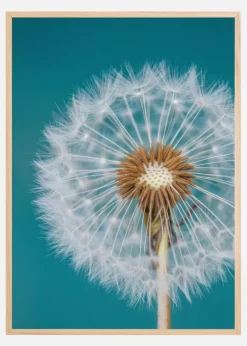 Dandelion Macro Sky Poster (21x29.7 cm (A4))