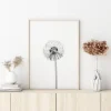 Dandelion Poster (21x29.7 cm (A4))