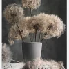 Dandelion Seed Pod Canvastavla (30x40 cm)
