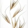Delicacy Of Nature Canvastavla (30x40 cm)