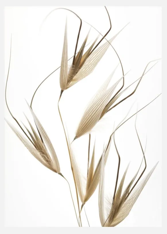 Delicacy Of Nature Canvastavla (30x40 cm)