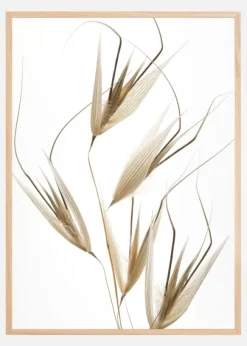 Delicacy of nature Poster (21x29.7 cm (A4))