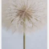 Delicate Dandelion Canvastavla (30x40 cm)