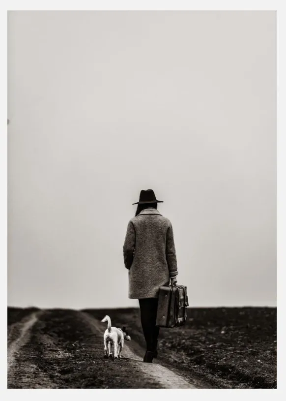 Dogwalk Canvastavla (30x40 cm)