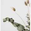 Dried 002 Canvastavla (30x40 cm)