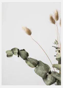 Dried 002 Canvastavla (30x40 cm)