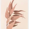 Dried Eucalyptus Canvastavla (30x40 cm)