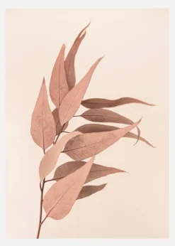 Dried Eucalyptus Canvastavla (30x40 cm)